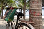 tropical bike, hoi a